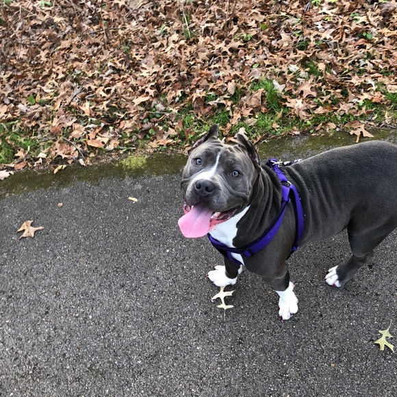 Meet your Posher, Ceneca - Picture 1 of 1